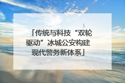 传统与科技“双轮驱动”冰城公安构建现代警务新体系