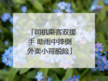 司机乘客双援手 助雨中摔倒外卖小哥脱险