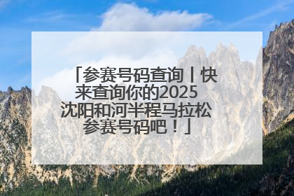 参赛号码查询丨快来查询你的2025沈阳和河半程马拉松参赛号码吧！