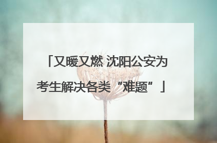又暖又燃 沈阳公安为考生解决各类“难题”