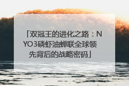 双冠王的进化之路：NYO3磷虾油蝉联全球领先背后的战略密码