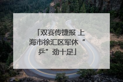 双赛传捷报 上海市徐汇区军休“乒”劲十足