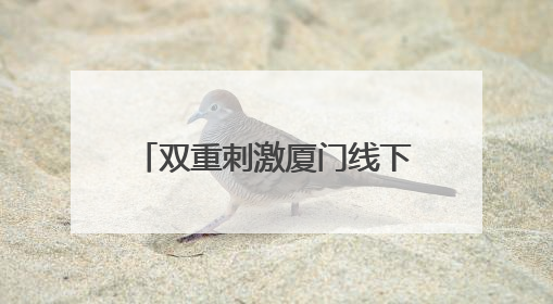 双重刺激厦门线下家电消费热起来