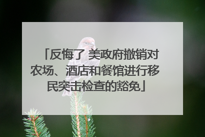 反悔了 美政府撤销对农场、酒店和餐馆进行移民突击检查的豁免