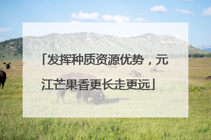 发挥种质资源优势，元江芒果香更长走更远