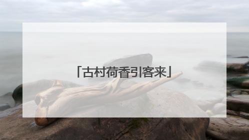 古村荷香引客来