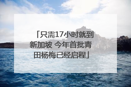 只需17小时就到新加坡 今年首批青田杨梅已经启程