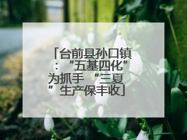 台前县孙口镇：“五基四化”为抓手 “三夏”生产保丰收