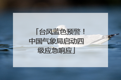 台风蓝色预警！中国气象局启动四级应急响应