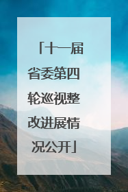 十一届省委第四轮巡视整改进展情况公开