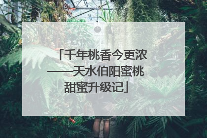 千年桃香今更浓——天水伯阳蜜桃甜蜜升级记
