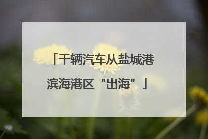 千辆汽车从盐城港滨海港区“出海”