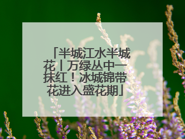 半城江水半城花丨万绿丛中一抹红！冰城锦带花进入盛花期