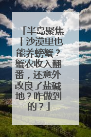 半岛聚焦丨沙漠里也能养螃蟹？蟹农收入翻番，还意外改良了盐碱地？咋做到的？