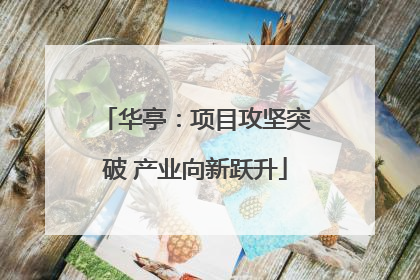 华亭：项目攻坚突破 产业向新跃升