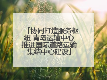 协同打造服务枢纽 青岛运输中心推进国际道路运输集结中心建设