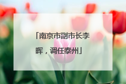 南京市副市长李晖，调任泰州