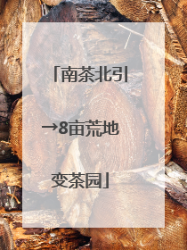 南茶北引→8亩荒地变茶园