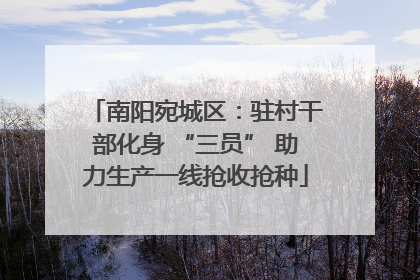南阳宛城区：驻村干部化身 “三员” 助力生产一线抢收抢种