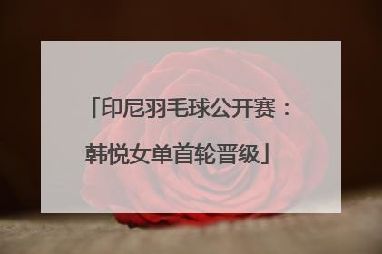 印尼羽毛球公开赛：韩悦女单首轮晋级