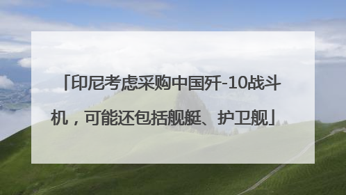 印尼考虑采购中国歼-10战斗机，可能还包括舰艇、护卫舰