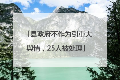 县政府不作为引重大舆情，25人被处理