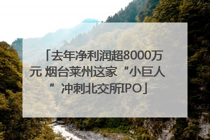 去年净利润超8000万元 烟台莱州这家“小巨人”冲刺北交所IPO