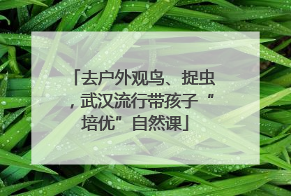 去户外观鸟、捉虫，武汉流行带孩子“培优”自然课
