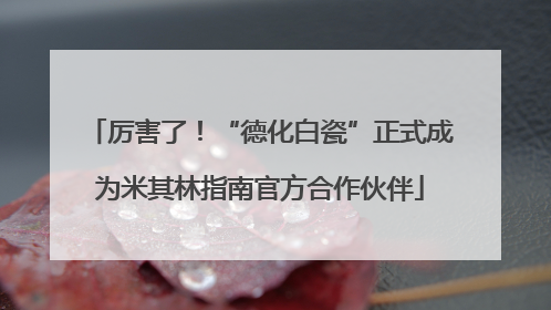 厉害了！“德化白瓷”正式成为米其林指南官方合作伙伴
