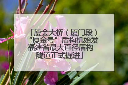 厦金大桥（厦门段）“厦金号”盾构机始发 福建省最大直径盾构隧道正式掘进
