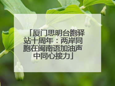 厦门思明台胞驿站十周年：两岸同胞在闽南语加油声中同心接力