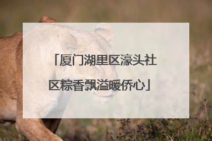 厦门湖里区濠头社区粽香飘溢暖侨心
