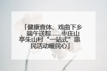 健康查体、戏曲下乡、端午送粽……枣庄山亭朱山村“一站式”惠民活动暖民心