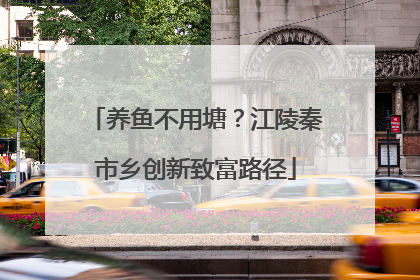 养鱼不用塘？江陵秦市乡创新致富路径