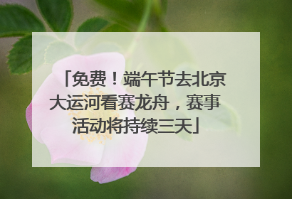 免费！端午节去北京大运河看赛龙舟，赛事活动将持续三天