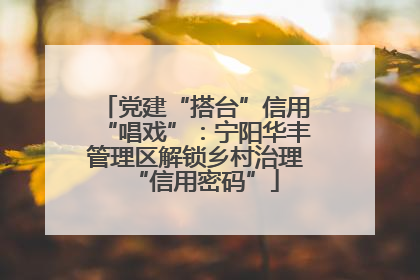 党建“搭台”信用“唱戏”：宁阳华丰管理区解锁乡村治理“信用密码”