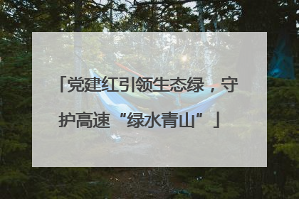 党建红引领生态绿，守护高速“绿水青山”