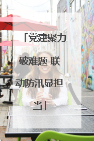 党建聚力破难题 联动防汛显担当