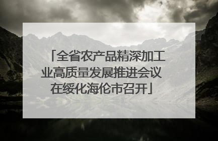 全省农产品精深加工业高质量发展推进会议在绥化海伦市召开