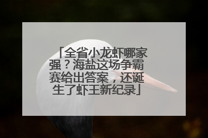 全省小龙虾哪家强？海盐这场争霸赛给出答案，还诞生了虾王新纪录