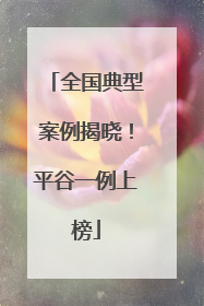 全国典型案例揭晓！平谷一例上榜