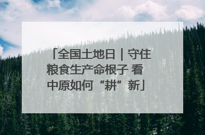 全国土地日｜守住粮食生产命根子 看中原如何“耕”新