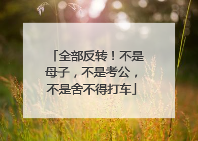 全部反转！不是母子，不是考公，不是舍不得打车