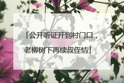 公开听证开到村门口，老柳树下再续叔侄情