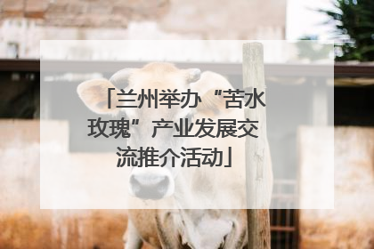 兰州举办“苦水玫瑰”产业发展交流推介活动