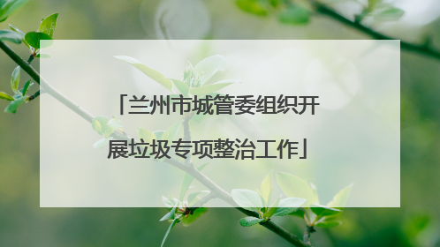 兰州市城管委组织开展垃圾专项整治工作