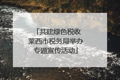 共建绿色税收 莱西市税务局举办专题宣传活动