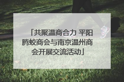 共聚温商合力 平阳腾蛟商会与南京温州商会开展交流活动