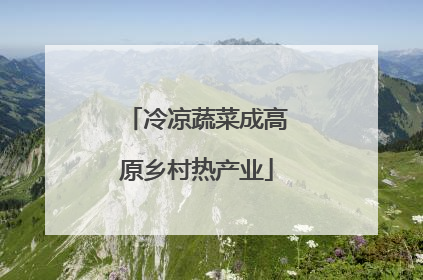 冷凉蔬菜成高原乡村热产业