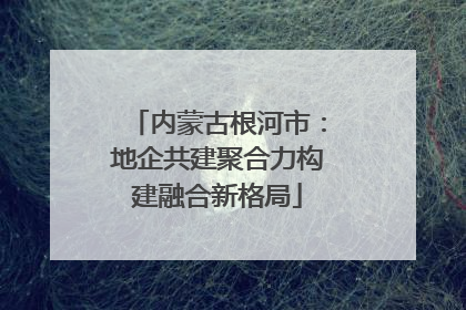 内蒙古根河市：地企共建聚合力构建融合新格局